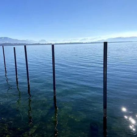 Bodensee Loft In Strandnaehe Lägenhet