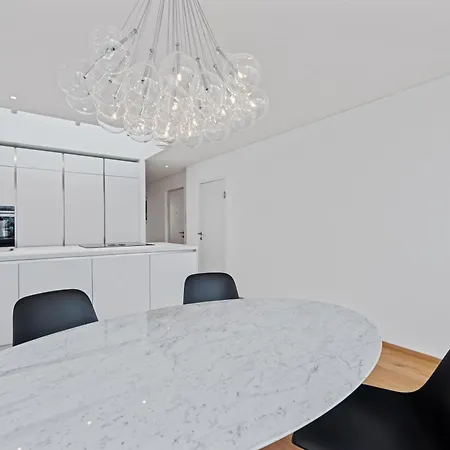 Apartment Bodensee Loft In Strandnaehe *